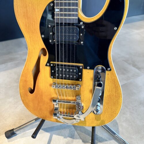 NO BRAND KIT TELECASTER THINLINE USATO