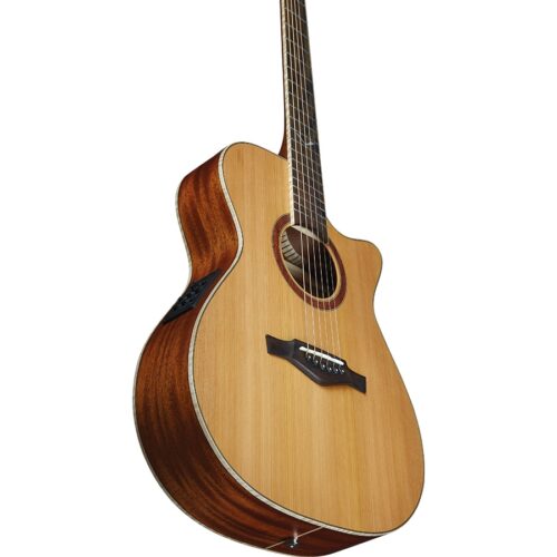 Evo chitarra acustica elettrificata A350ce