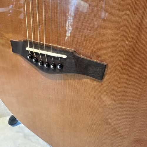 EKO VARINI MIA CHITARRA ACUSTICA ELETTRIFICATA USATO