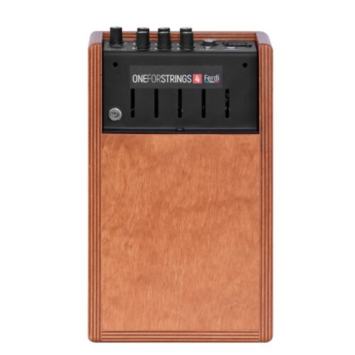 ACUS AMPLIFICATORE ONE FORSTRINGS 4 FERDI WOOD