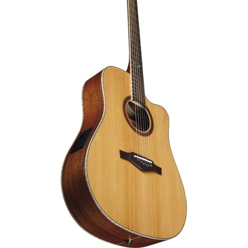 Evo chitarra acustica elettrificata D350ce