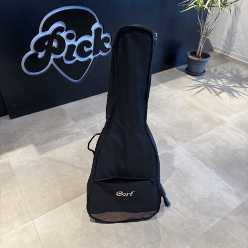 CORT AD810 OP CHITARRA ACUSTICA (+ CUSTODIA) USATO