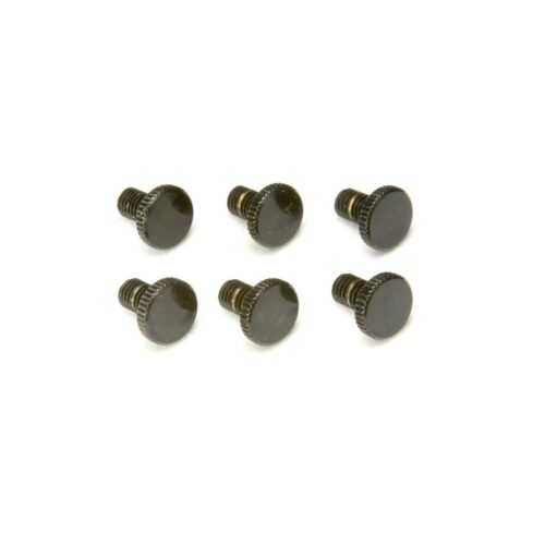 FLOYD ROSE ORIGINAL FINE TUNING SCREWS 6 PCS VITI PER ACCORDATURA