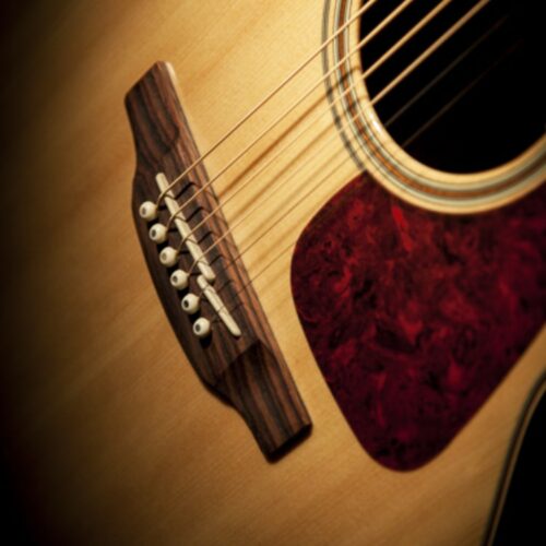 TAKAMINE Nex Ctw Elet G Series GN93CE NAT