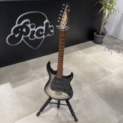 PEAVEY RAPTOR CUSTOM CHITARRA ELETTRICA SSS USATO